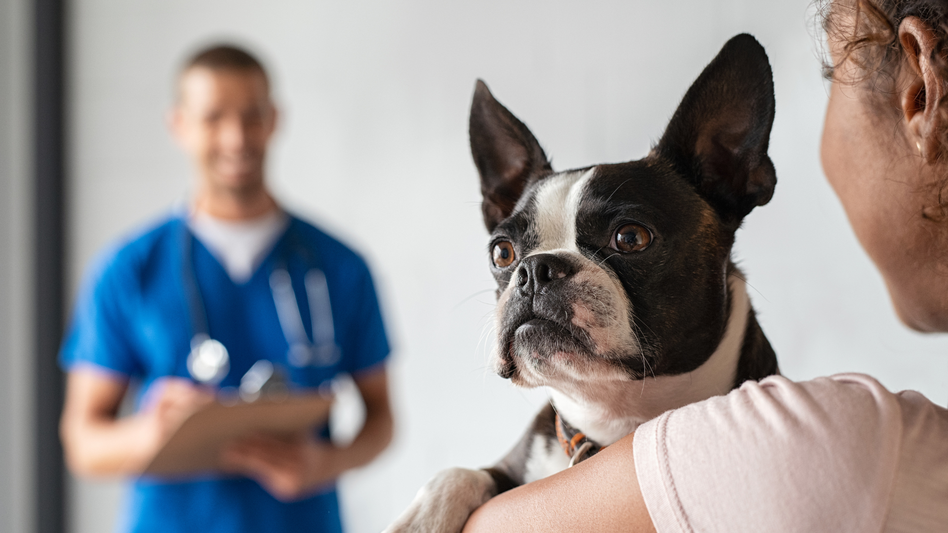 A person holding a dog while standing in front of a veterinarian