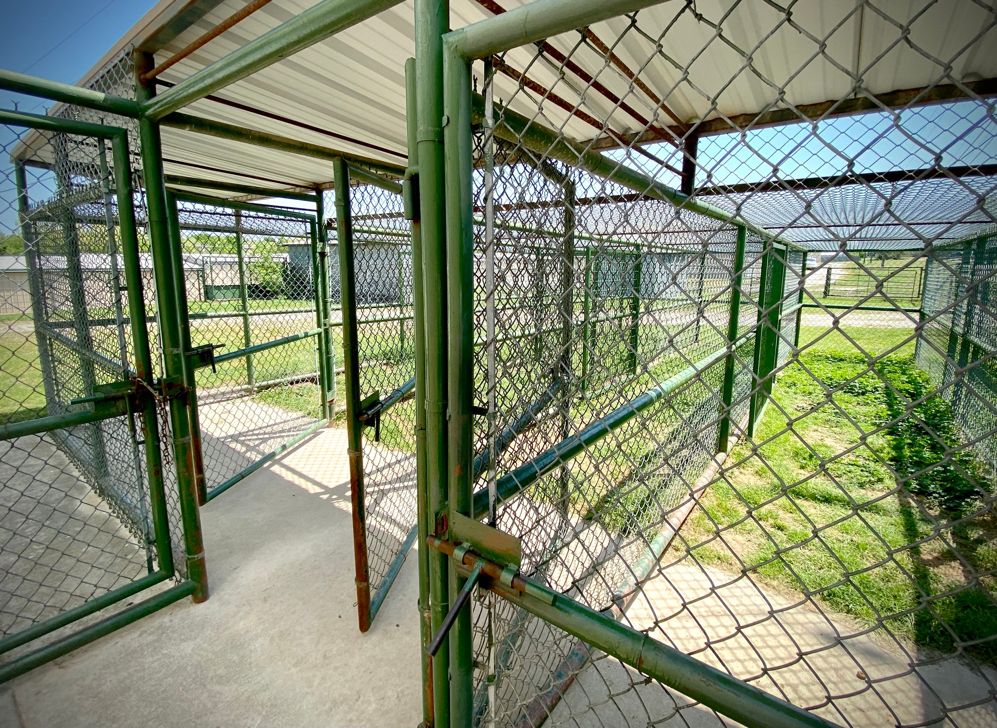 Wise Co Boarding 1 A spacious room featuring multiple cages