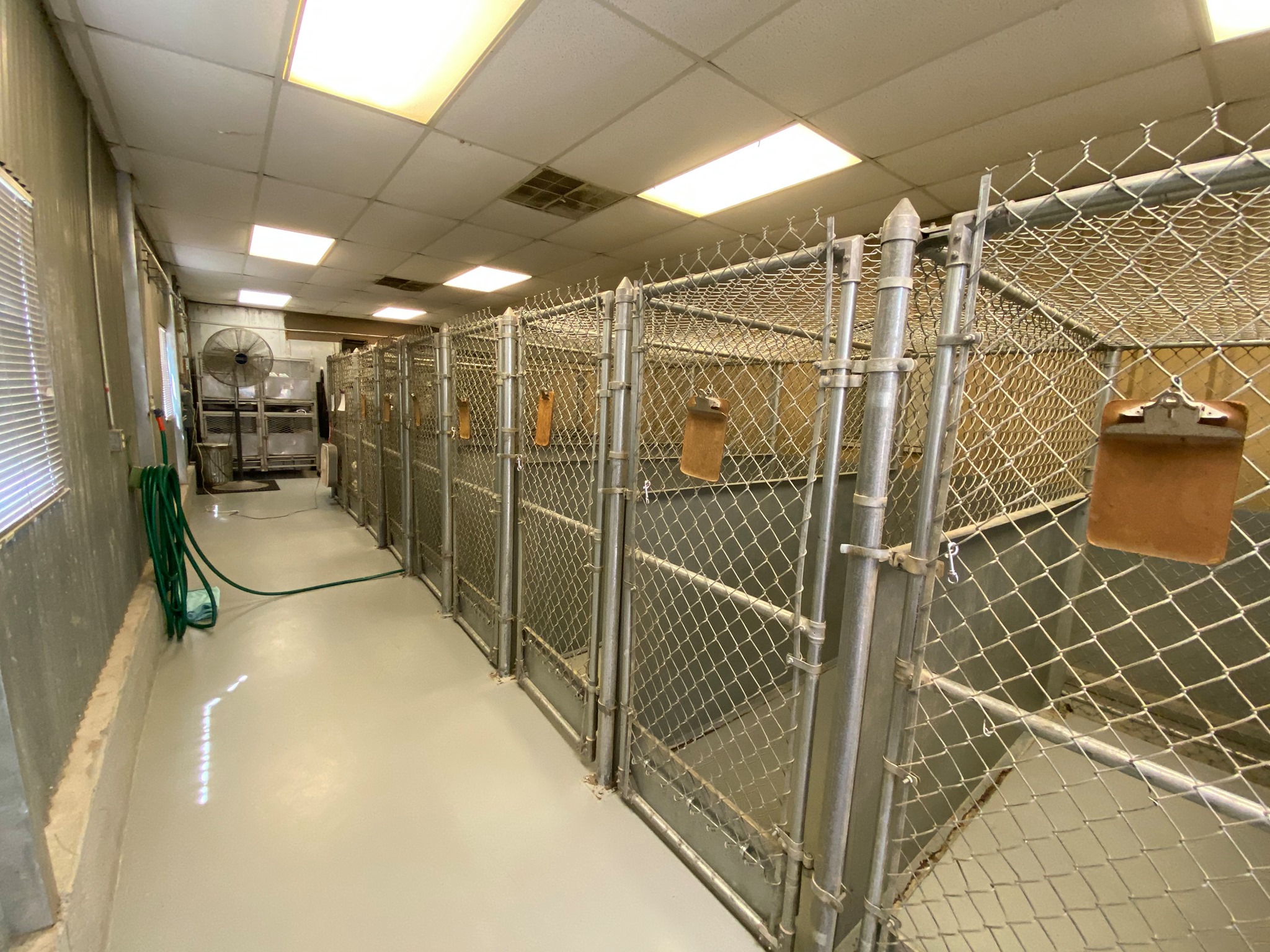 Wise Co Boarding 2 A large dog kennel featuring a fenced area and a door