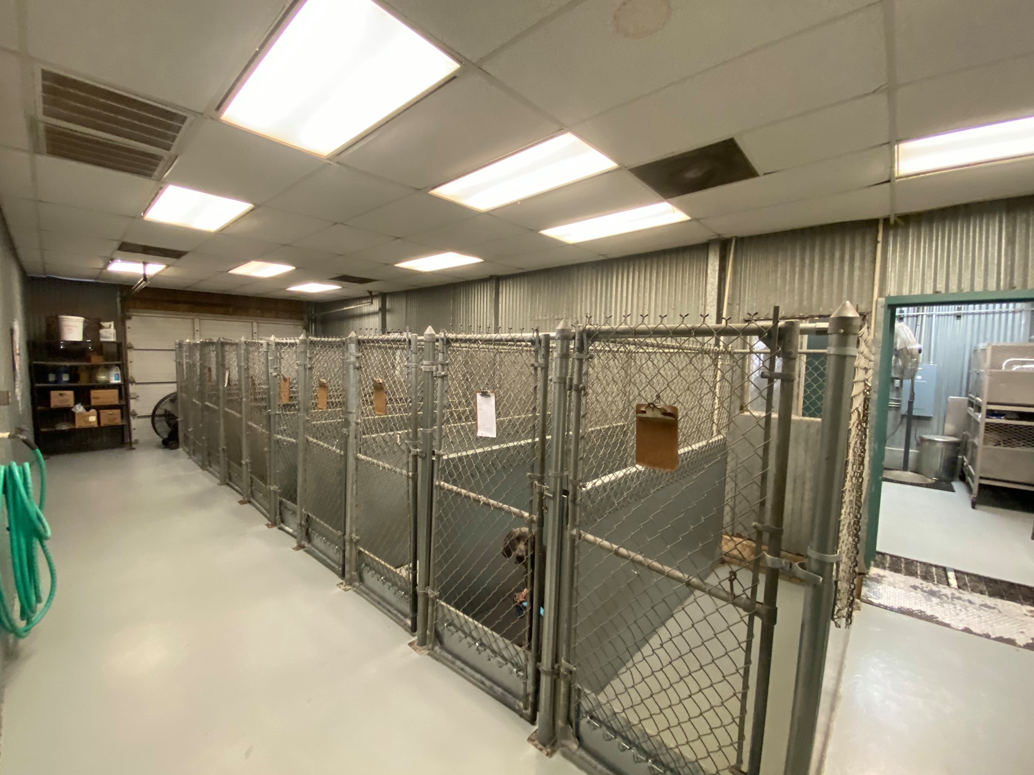 Wise Co Boarding 3 A large dog kennel featuring a fenced area and a door